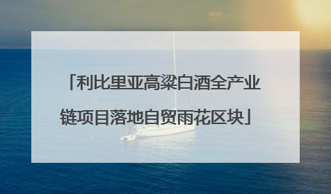 利比里亚高粱白酒全产业链项目落地自贸雨花区块