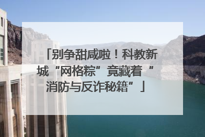 别争甜咸啦！科教新城“网格粽”竟藏着“消防与反诈秘籍”