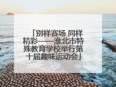 别样赛场 同样精彩——淮北市特殊教育学校举行第十届趣味运动会