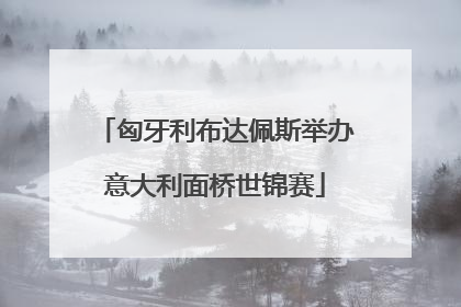 匈牙利布达佩斯举办意大利面桥世锦赛