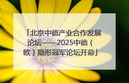 北京中德产业合作发展论坛——2025中德（欧）隐形冠军论坛开幕