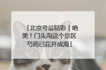 北京号最精彩｜绝美！门头沟这个景区芍药已花开成海