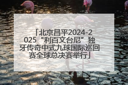 北京昌平2024-2025“利百文台尼”独牙传奇中式九球国际巡回赛全球总决赛举行