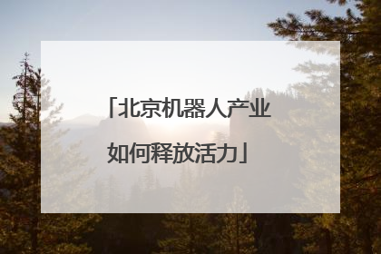 北京机器人产业如何释放活力