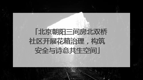 北京朝阳三间房北双桥社区开展花箱治理，构筑安全与诗意共生空间