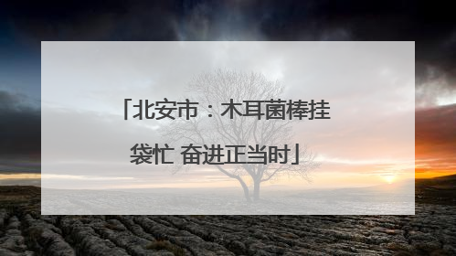北安市：木耳菌棒挂袋忙 奋进正当时