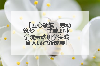 匠心领航，劳动筑梦——武威职业学院劳动研学实践育人取得新成果