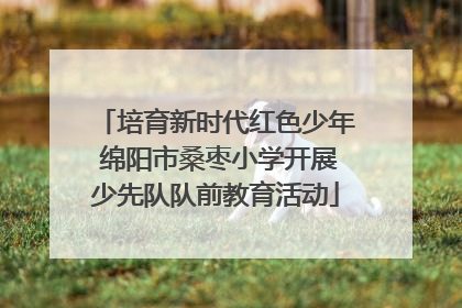培育新时代红色少年 绵阳市桑枣小学开展少先队队前教育活动