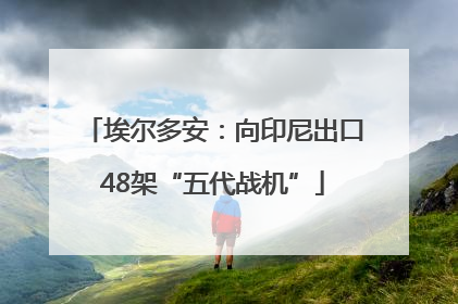 埃尔多安：向印尼出口48架“五代战机”