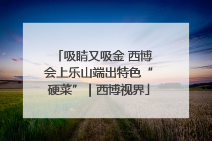 吸睛又吸金 西博会上乐山端出特色“硬菜”｜西博视界