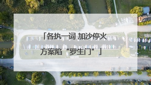 各执一词 加沙停火方案陷“罗生门”