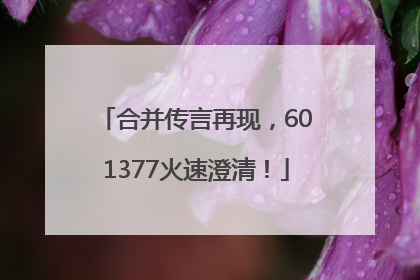 合并传言再现，601377火速澄清！