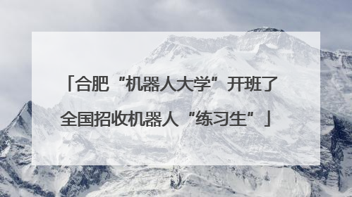 合肥“机器人大学”开班了 全国招收机器人“练习生”