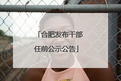 合肥发布干部任前公示公告