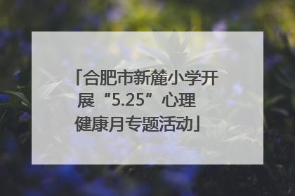合肥市新麓小学开展“5.25”心理健康月专题活动
