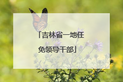 吉林省一地任免领导干部