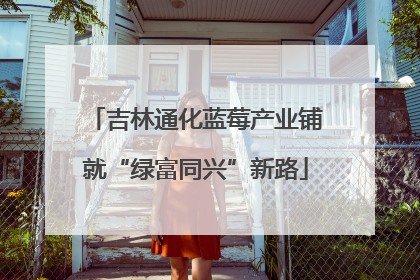 吉林通化蓝莓产业铺就“绿富同兴”新路