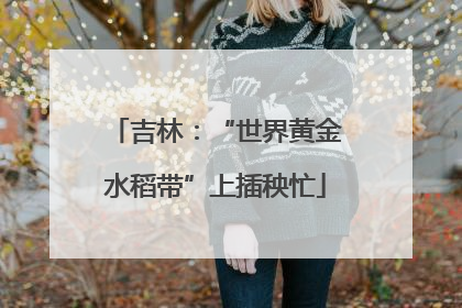 吉林：“世界黄金水稻带”上插秧忙