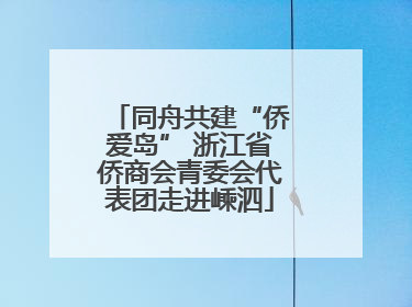 同舟共建“侨爱岛” 浙江省侨商会青委会代表团走进嵊泗