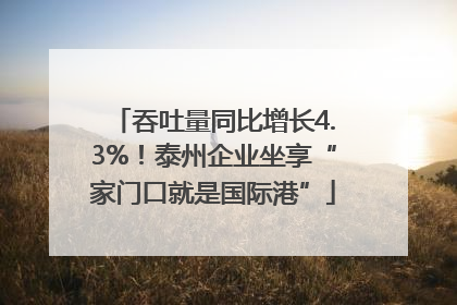 吞吐量同比增长4.3%！泰州企业坐享“家门口就是国际港”