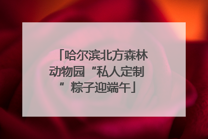 哈尔滨北方森林动物园“私人定制”粽子迎端午