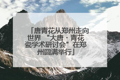 唐青花从郑州走向世界 “大唐・青花瓷学术研讨会”在郑州圆满举行