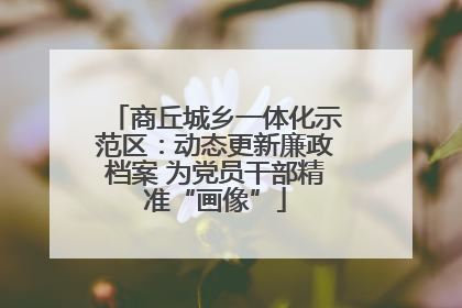 商丘城乡一体化示范区：动态更新廉政档案 为党员干部精准“画像”