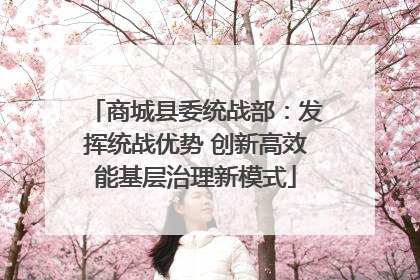 商城县委统战部：发挥统战优势 创新高效能基层治理新模式