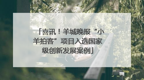 喜讯！羊城晚报“小羊拍客”项目入选国家级创新发展案例