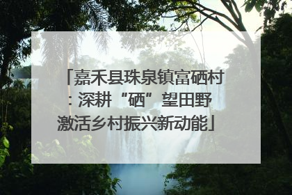 嘉禾县珠泉镇富硒村：深耕“硒”望田野 激活乡村振兴新动能