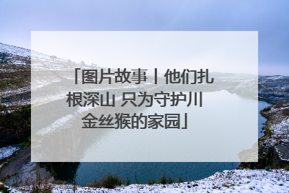 图片故事丨他们扎根深山 只为守护川金丝猴的家园