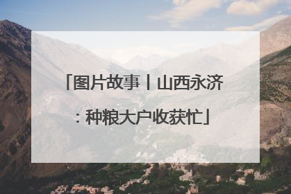图片故事丨山西永济：种粮大户收获忙
