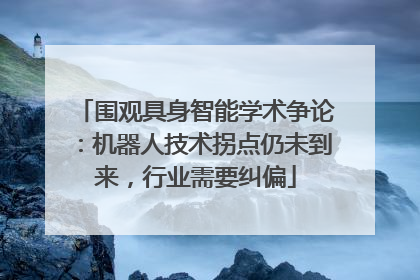 围观具身智能学术争论：机器人技术拐点仍未到来，行业需要纠偏