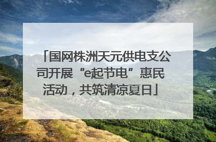 国网株洲天元供电支公司开展“e起节电”惠民活动，共筑清凉夏日
