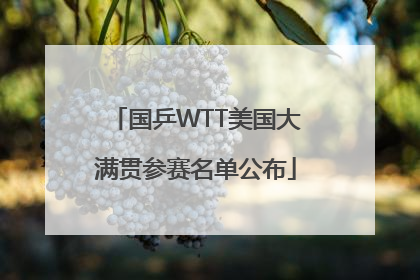 国乒WTT美国大满贯参赛名单公布