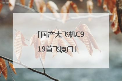 国产大飞机C919首飞厦门