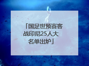 国足世预赛客战印尼25人大名单出炉