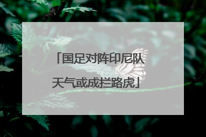 国足对阵印尼队 天气或成拦路虎