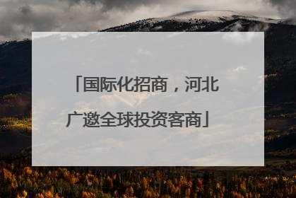 国际化招商，河北广邀全球投资客商