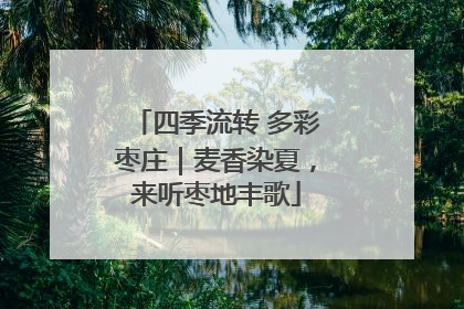 四季流转 多彩枣庄｜麦香染夏，来听枣地丰歌