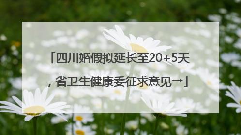 四川婚假拟延长至20+5天，省卫生健康委征求意见→