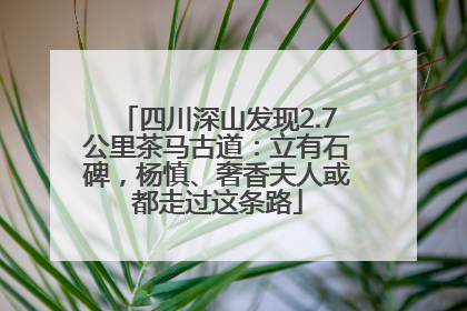 四川深山发现2.7公里茶马古道：立有石碑，杨慎、奢香夫人或都走过这条路