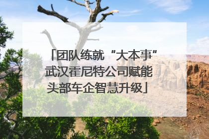 团队练就“大本事” 武汉霍尼特公司赋能头部车企智慧升级