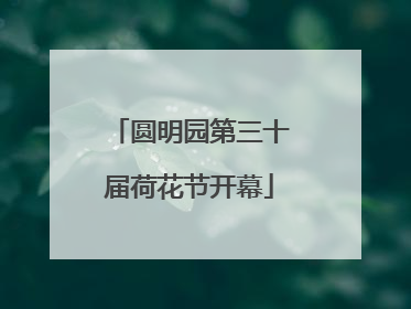 圆明园第三十届荷花节开幕