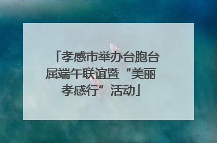 孝感市举办台胞台属端午联谊暨“美丽孝感行”活动