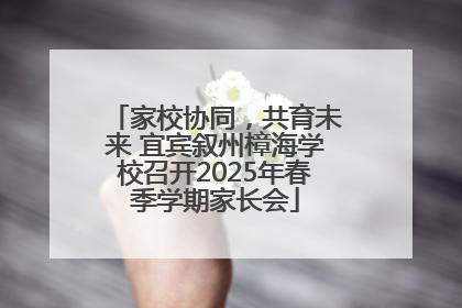 家校协同，共育未来 宜宾叙州樟海学校召开2025年春季学期家长会