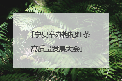 宁夏举办枸杞红茶高质量发展大会