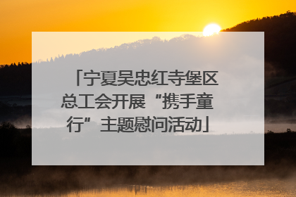 宁夏吴忠红寺堡区总工会开展“携手童行”主题慰问活动