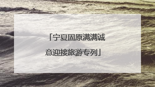 宁夏固原满满诚意迎接旅游专列
