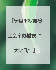 宁夏平罗县总工会举办插秧“大比武”